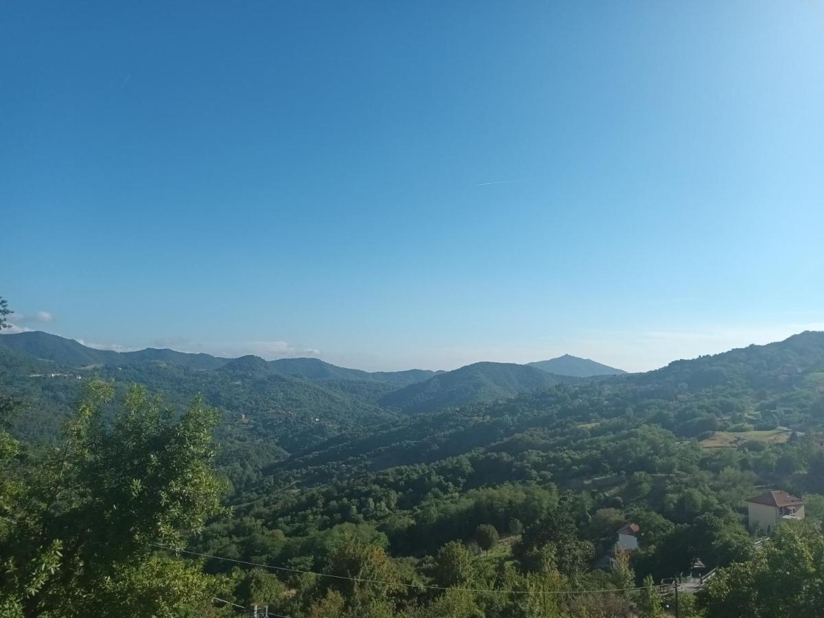 Appartamento La Pineta It010-058C20-Tj54093 Serra Rocco Dış mekan fotoğraf